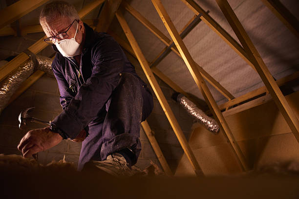 Best Geographic-Specific Insulation Services in Miramar, FL